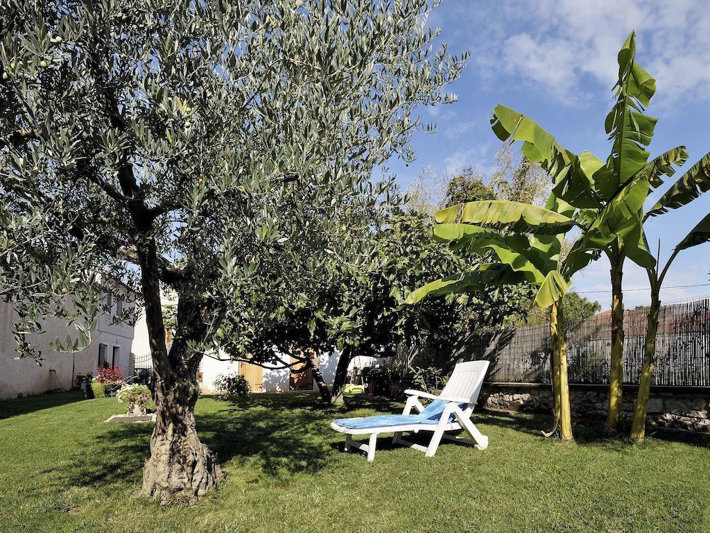 Apartment Vita Poreč Eksteriør billede
